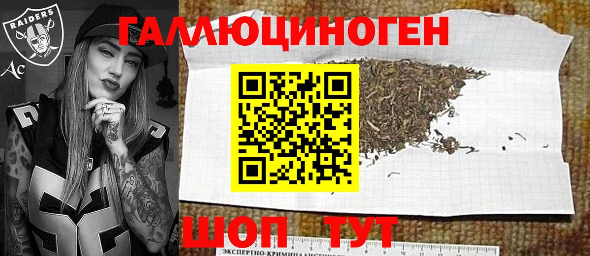 Химки  Псилоцибиновые грибы Psilocybe  что такое наркотик  Вход с VPN 